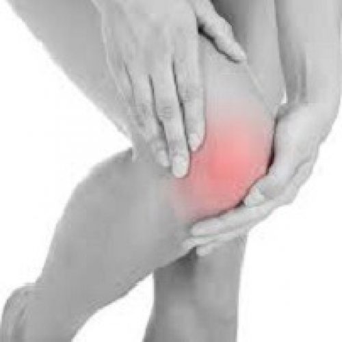 knee-small